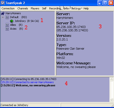 conected to the server window