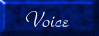 Voice rule`s page